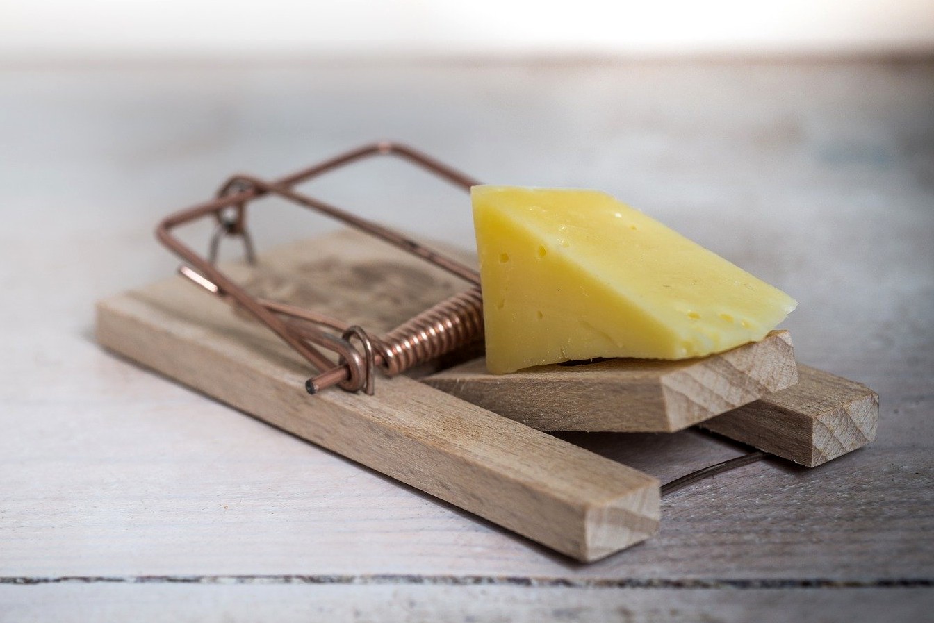 Cheese Device Trap